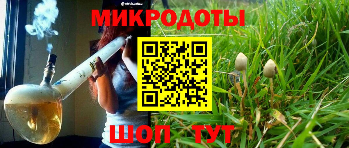 Галлюциногенные грибы MAGIC MUSHROOMS Иваново
